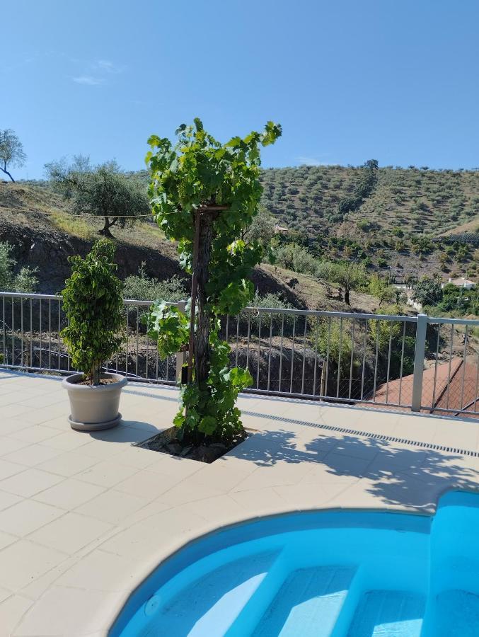 Vinas Villa Málaga