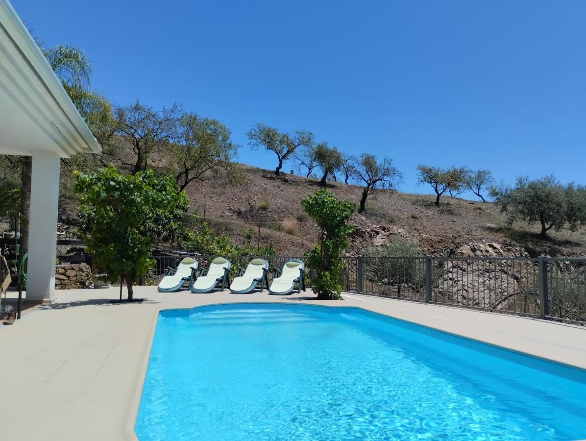 Vinas Villa *