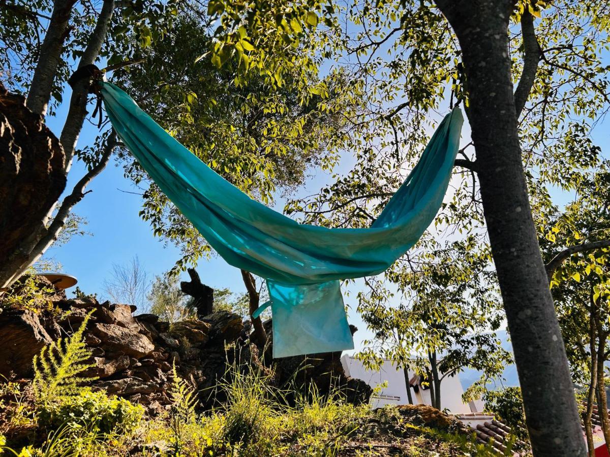 Mentirosanata Сasa de vacaciones