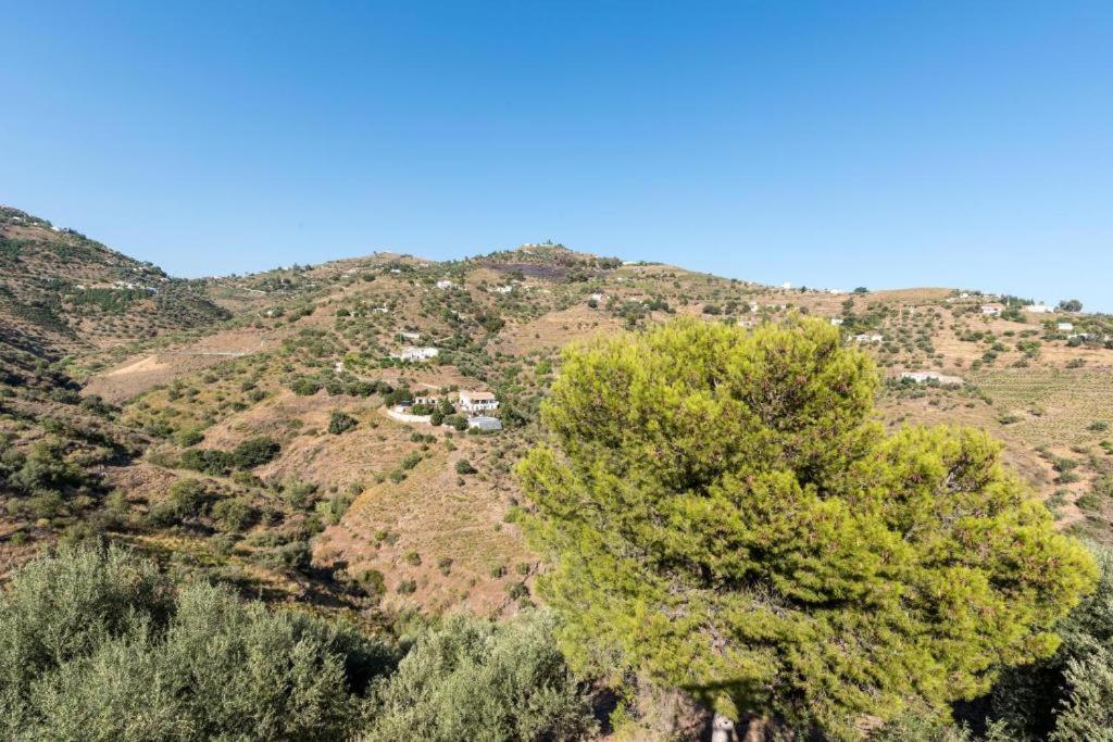 Felicidad Sayalonga Rural Сasa de vacaciones Málaga