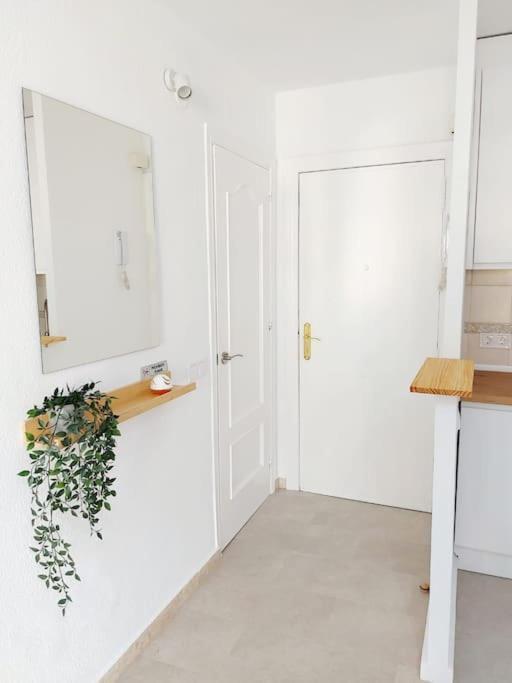 Flat Close To The Centre