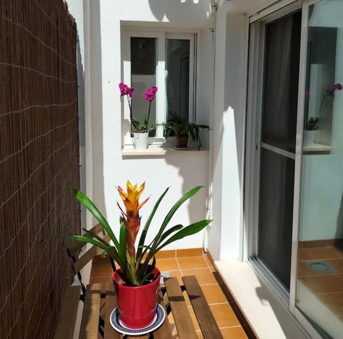 Apartamento Estudio 52 Centrico Parking Gratuito Málaga