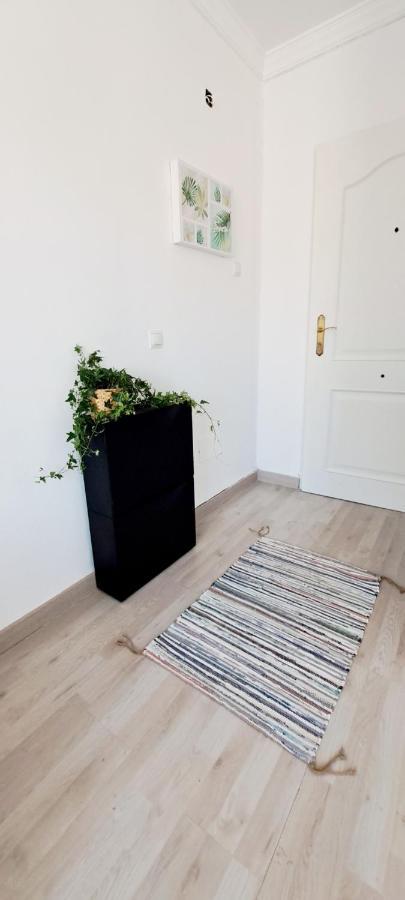 Apartamento Adelfas *