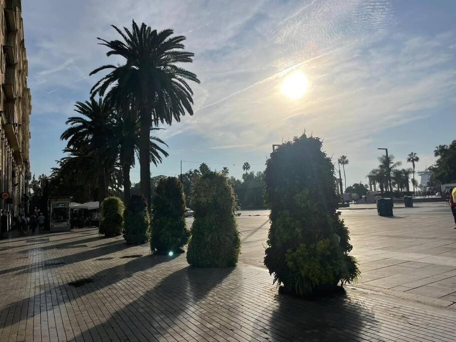 Greenhouse, Casco Historico De Malaga