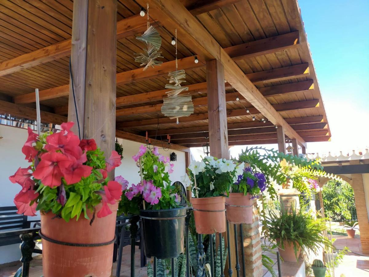 Holiday home Paraje El Pozo *