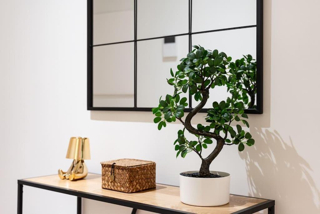 Premium Flat In Center With Free Parking * Málaga