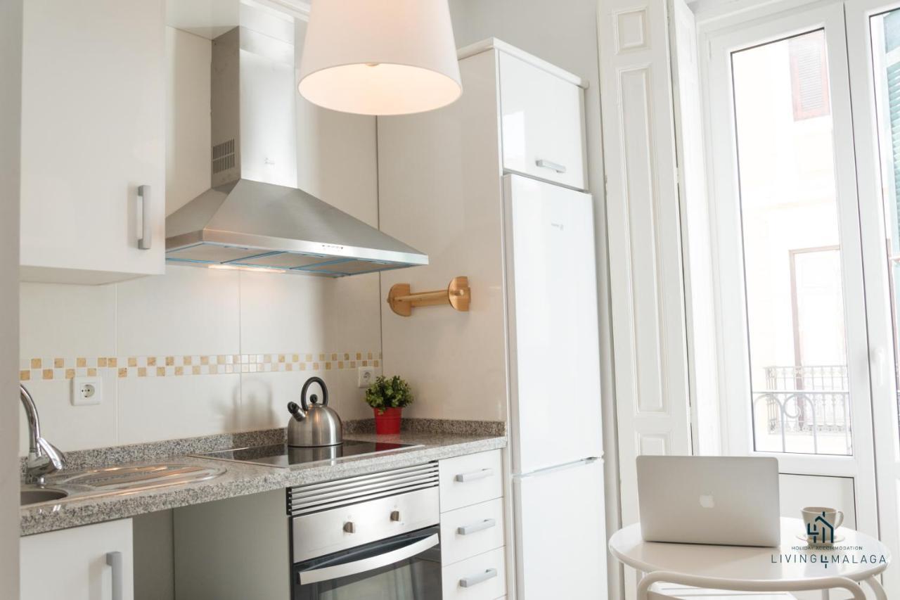 Living4malaga Molina Lario Apartment *