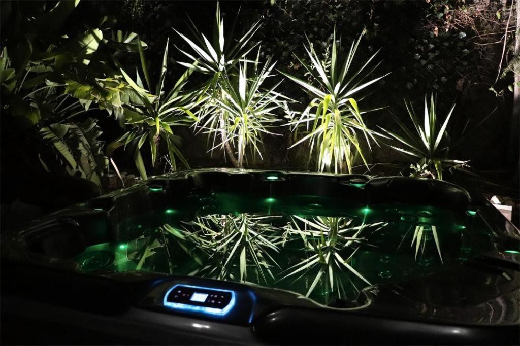 Luxury Jacuzzi & Terraces Holiday home Malaga