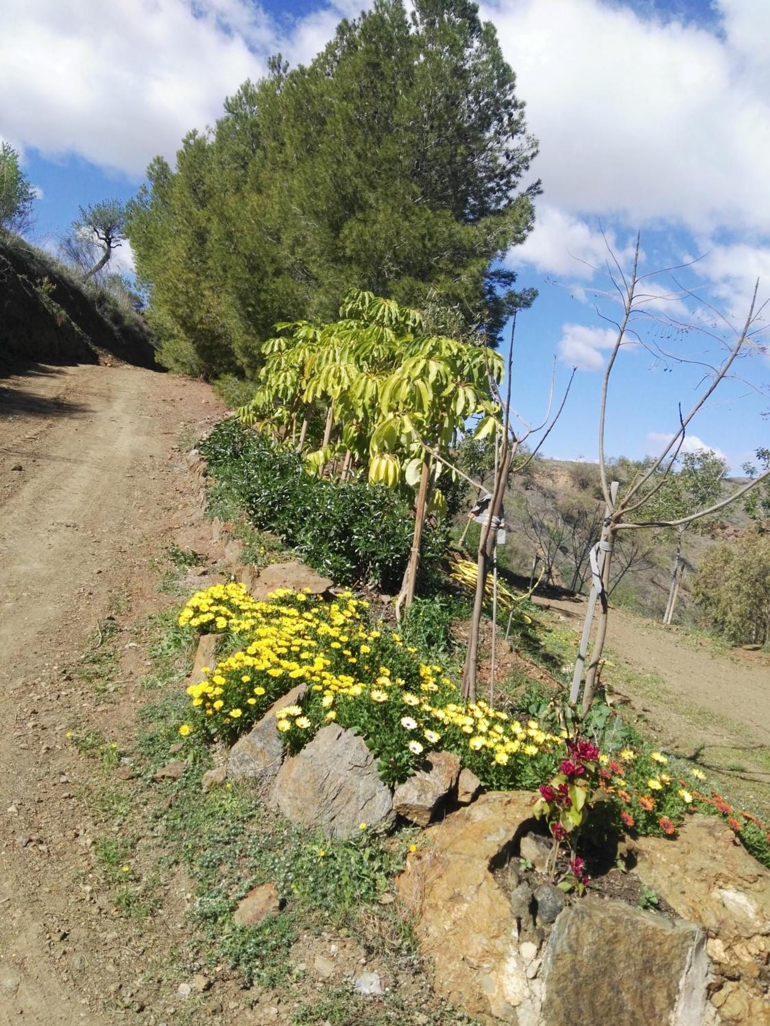 Pinar El Almendra Málaga