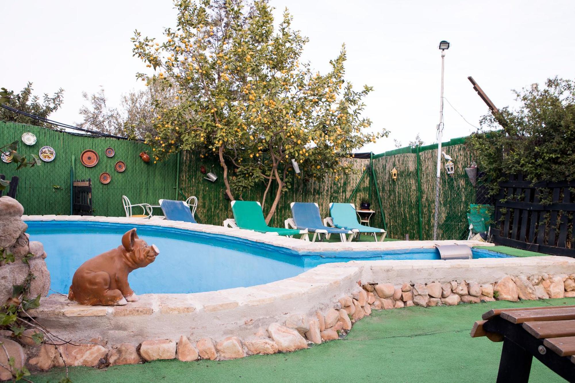 Almotaje, Numero 3 * Málaga