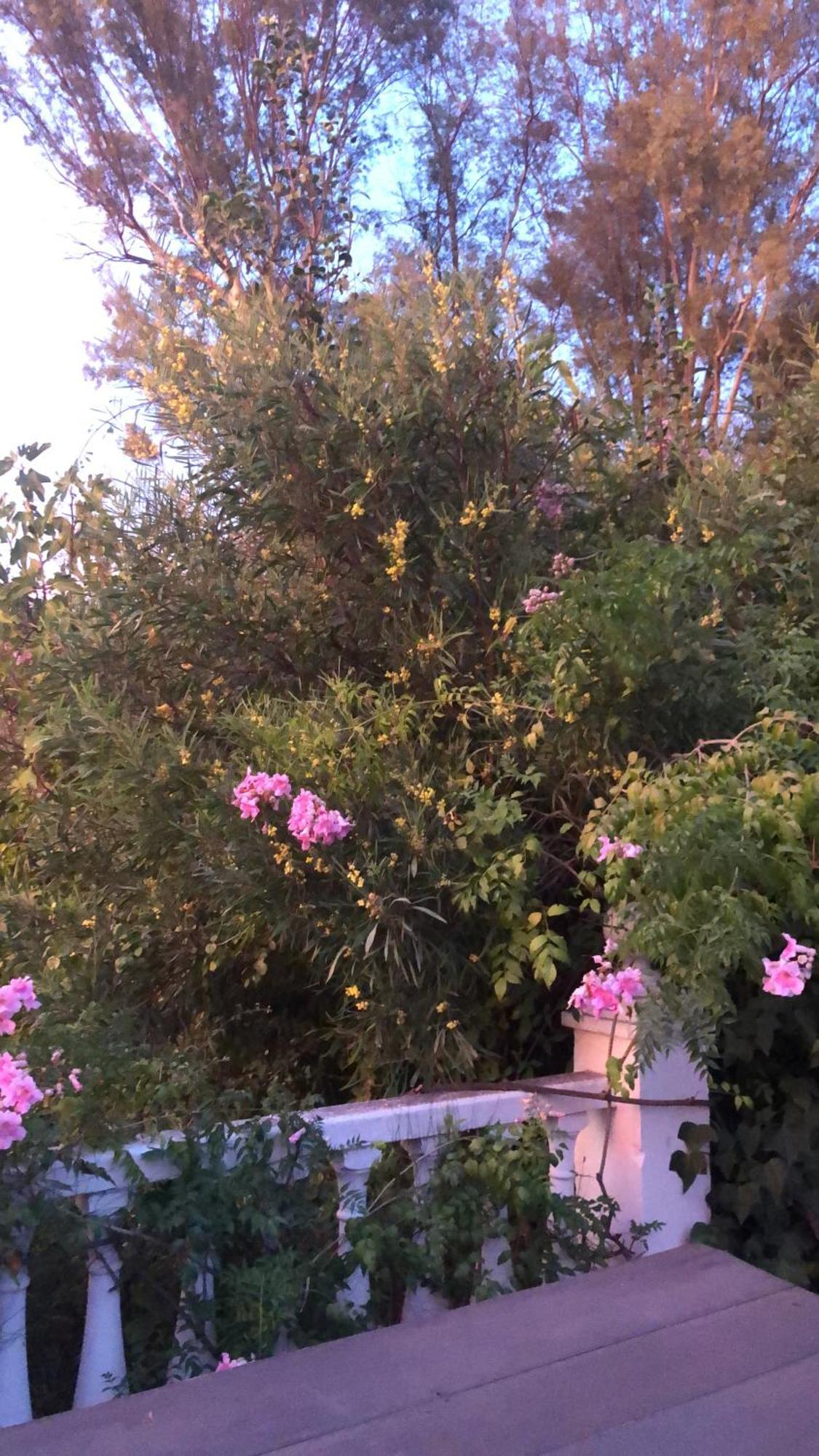 Apartamento El Rio,, La Casita One Of 2 Self Catering Studios. Pool And Hydrotherapy Jacuzzi Málaga