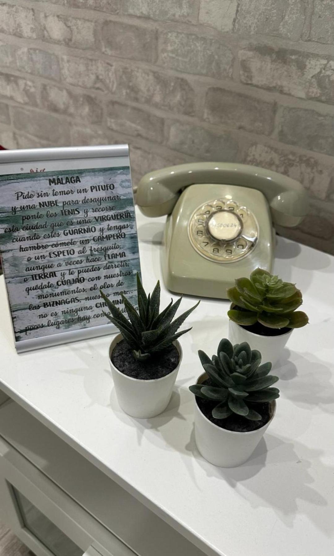 Apartamento Loft Céntrico Cerca De La Playa ! La Biznaga Málaga