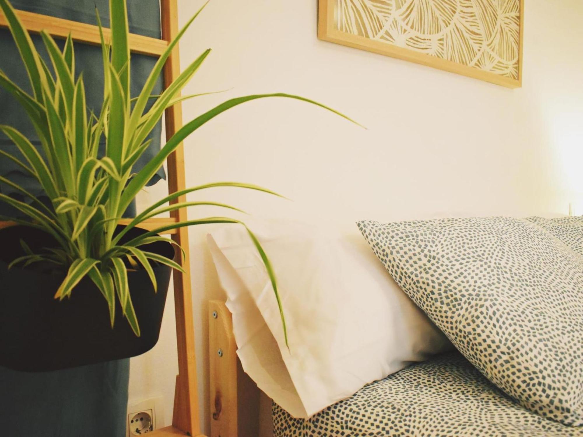 Bea's Home: Cozy On The Outskirts Of Centre Malaga