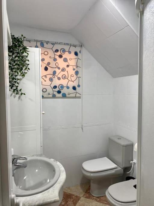 Casa Encantadora Y Confortable En Malaga. * Malaga