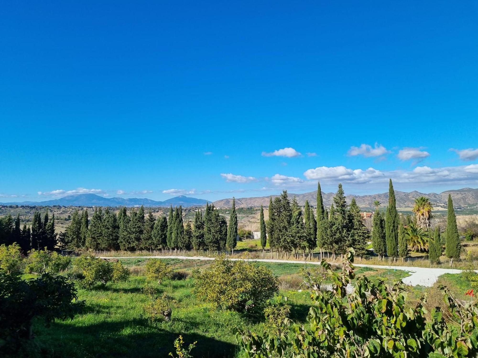 Vista El Montanes * Malaga