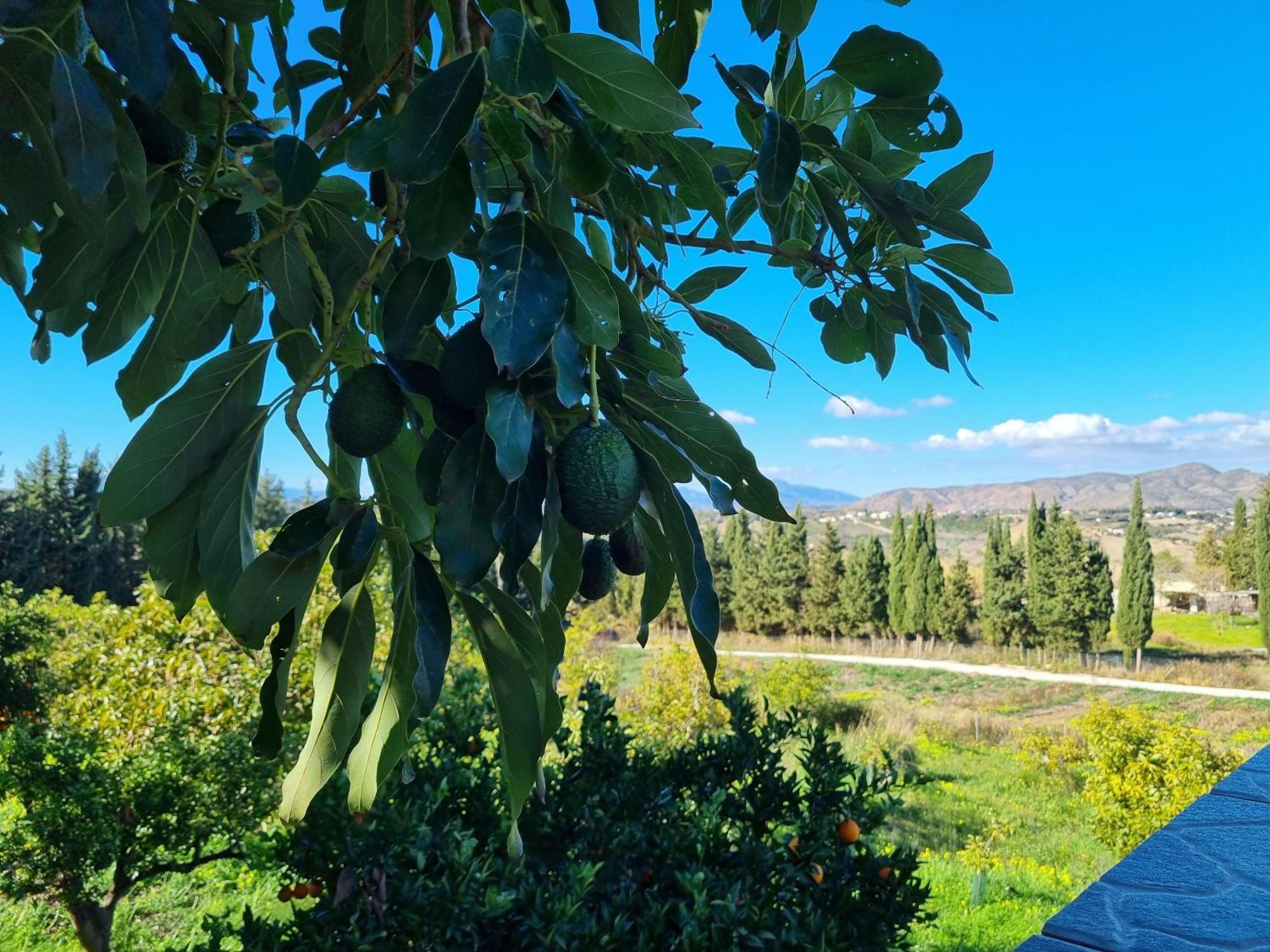 Vista El Montanes
