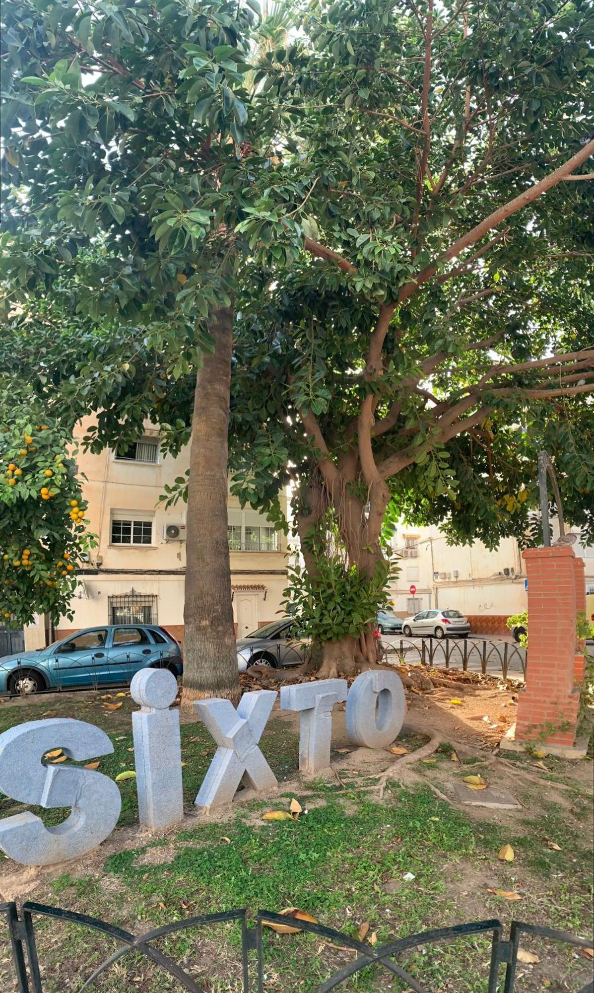 Los Guindos Málaga