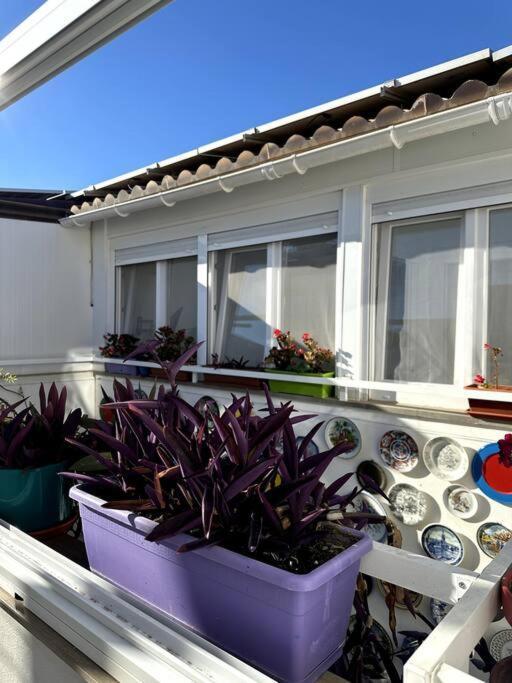 Jara Premium ! Apartamento