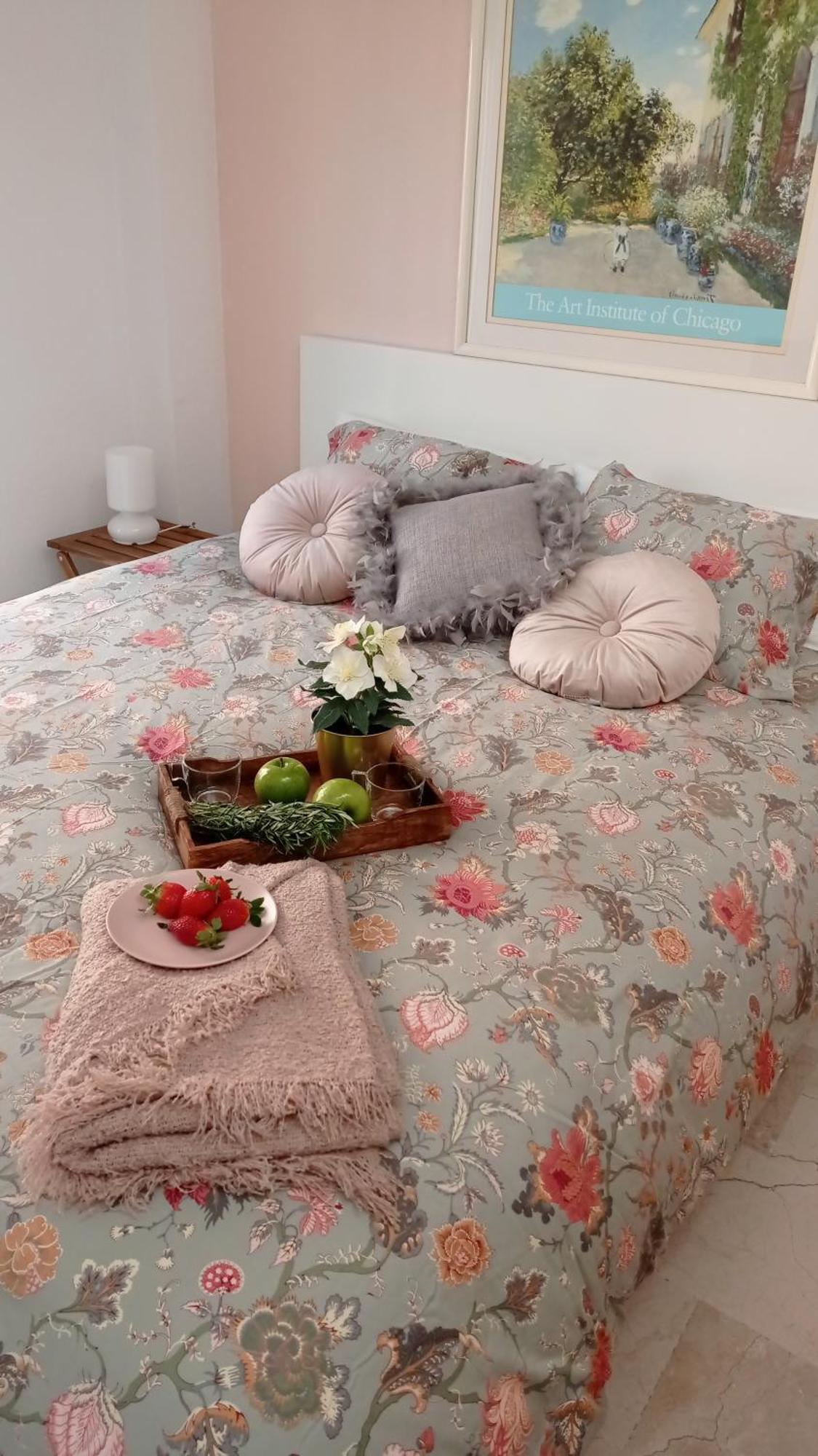 Apartamento Penthouse With Solarium In The Center Of Malaga-atico Con Solarium En El Centro De Málaga