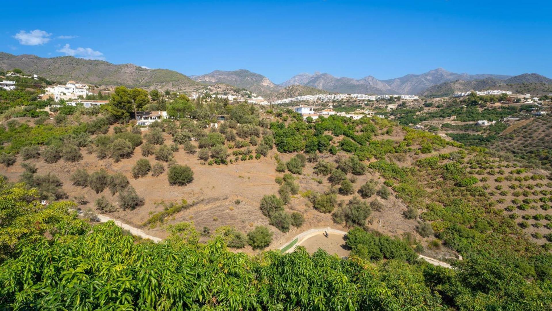 Country Frigiliana