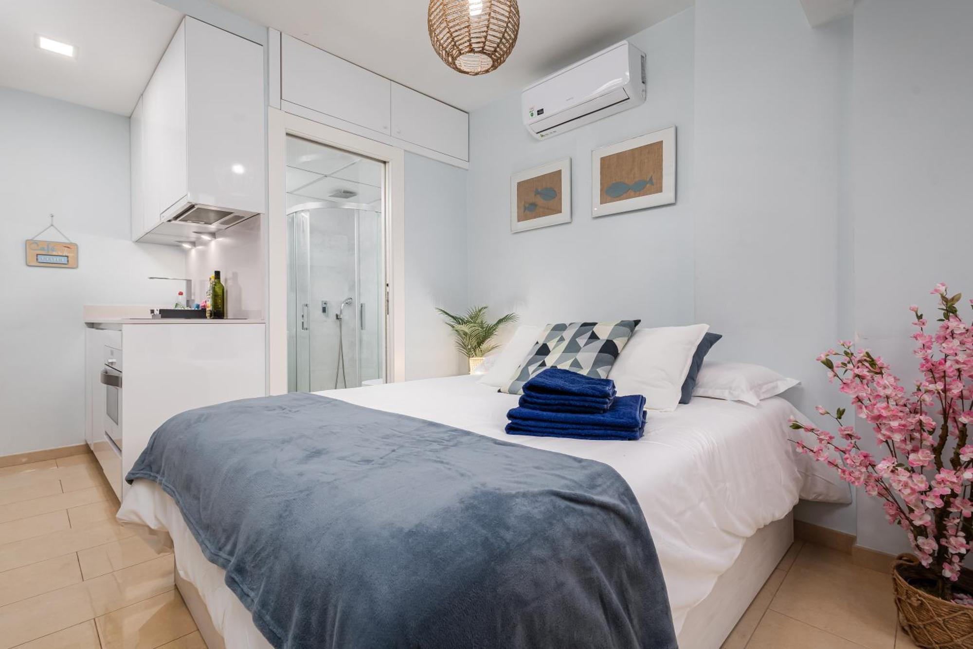 House Apartment, Playa Malagueta Apartment