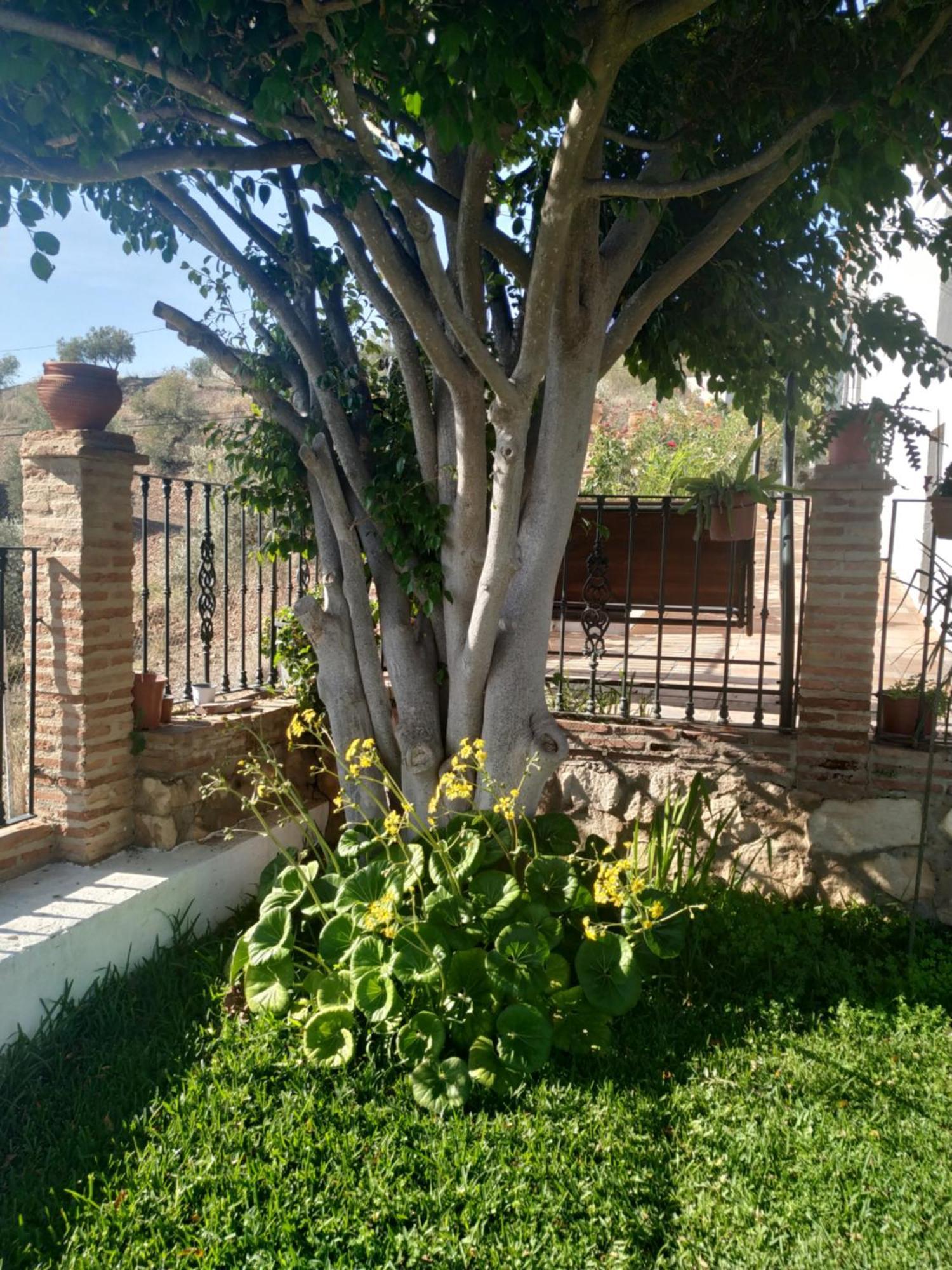Holiday home Paraje El Pozo Malaga