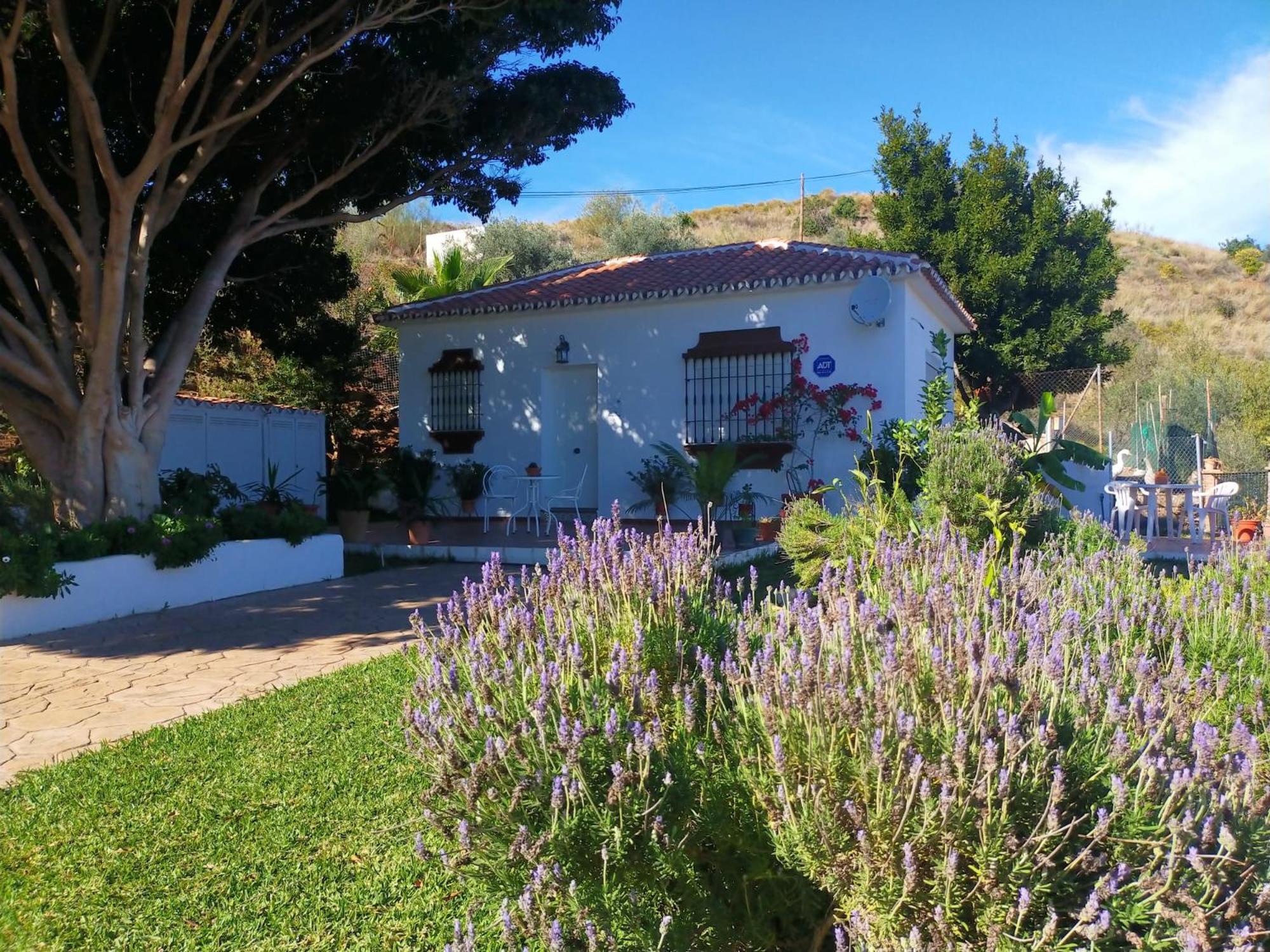 Paraje El Pozo *