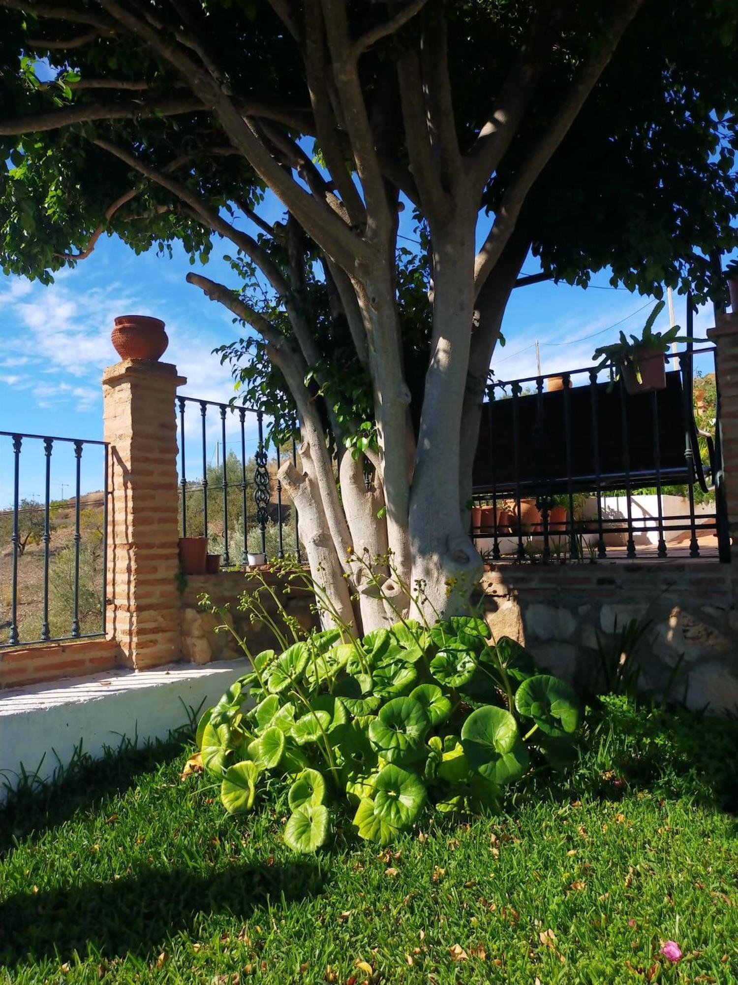 Paraje El Pozo Holiday home Malaga
