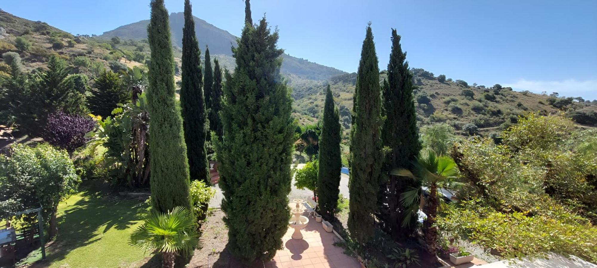 Santa Matilde * Málaga