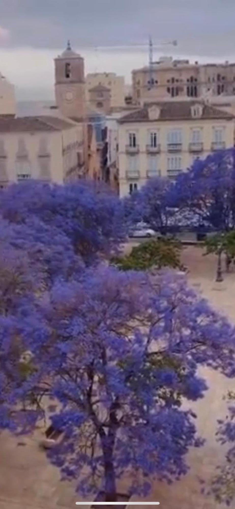 Apartamento Apartamento—centro Parking Gratis Grupos Málaga