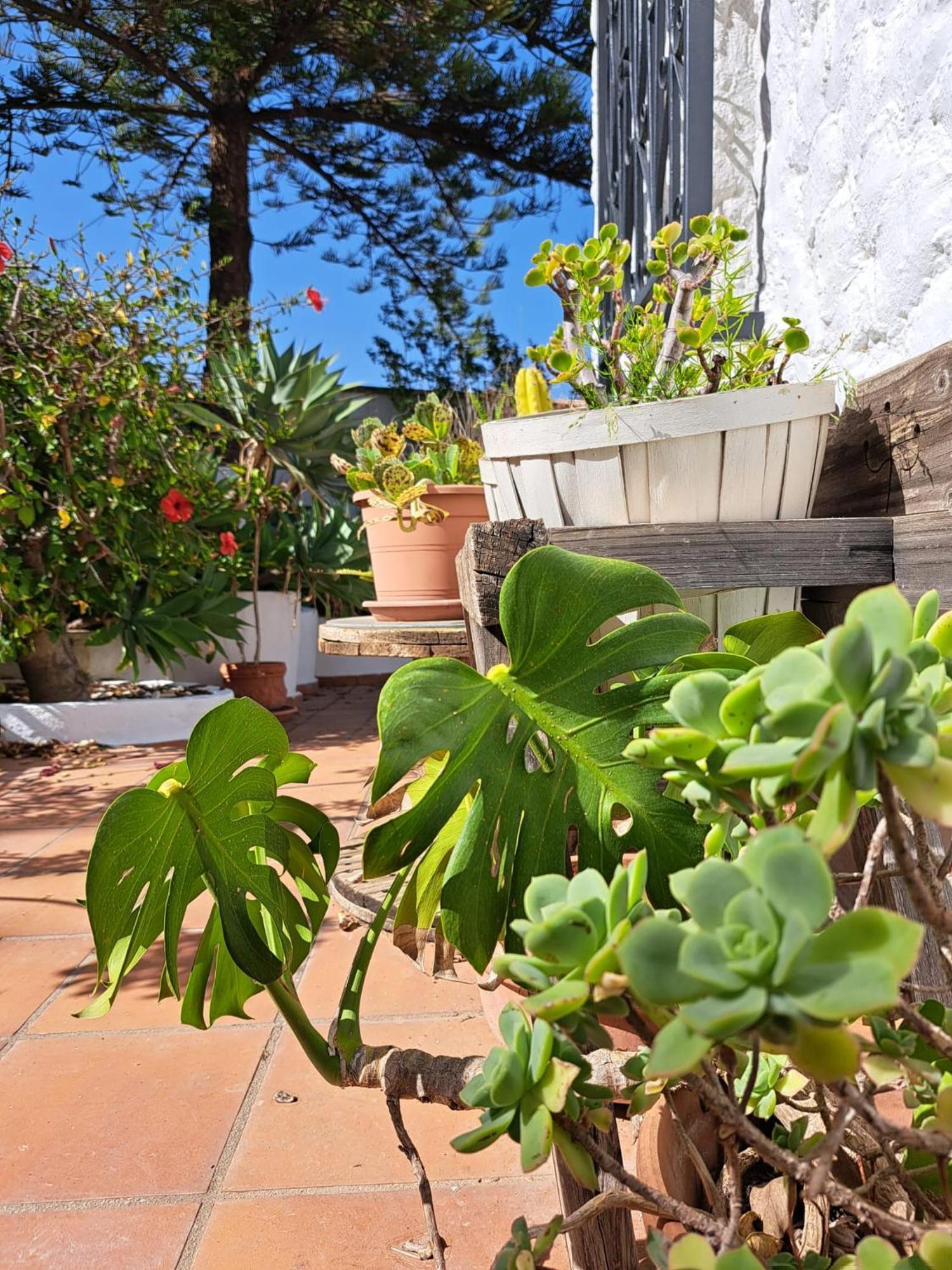 Mijas Costa Del Sol Сasa de vacaciones