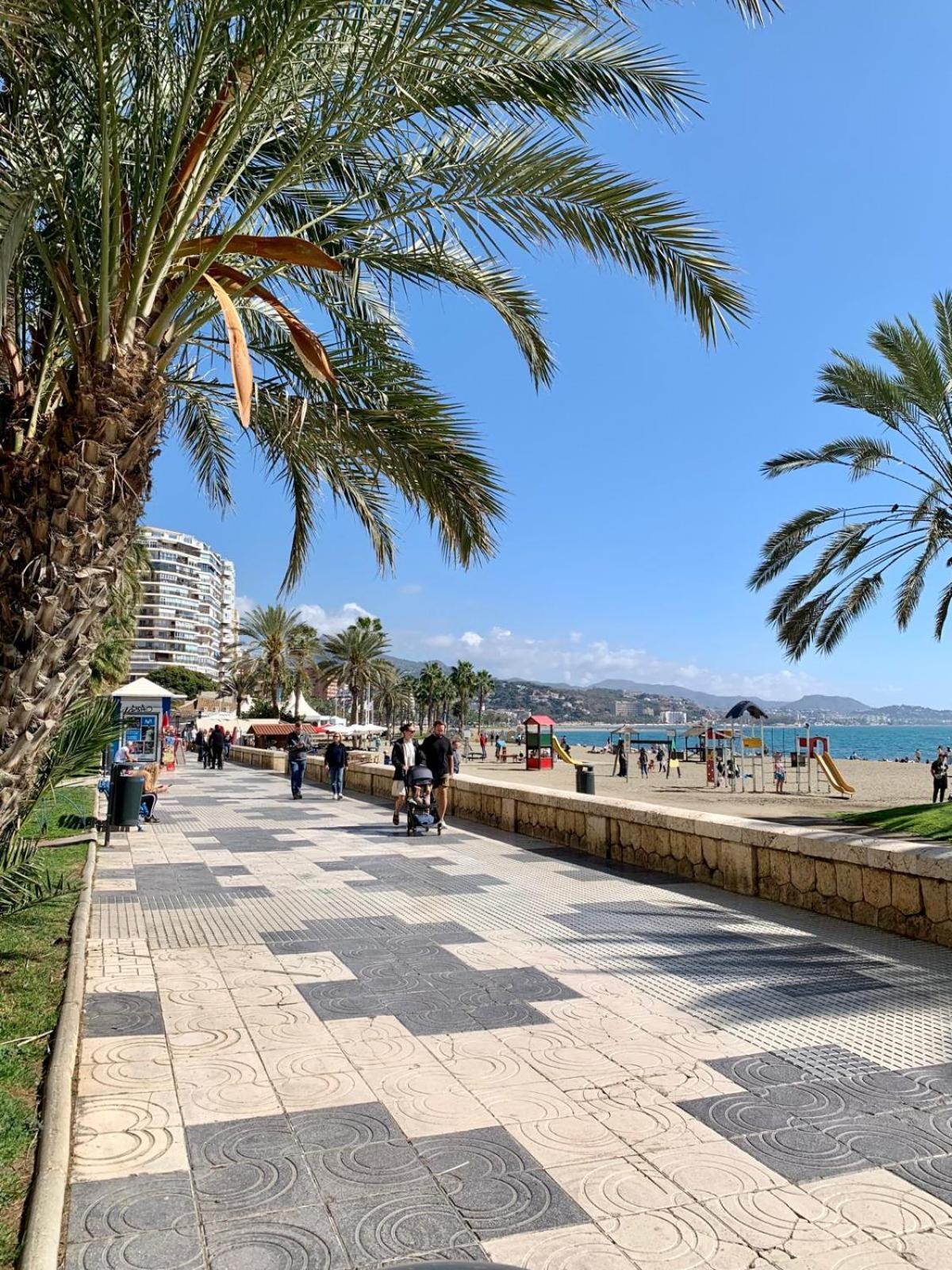 Apartamento Estudio En Playa La Malagueta