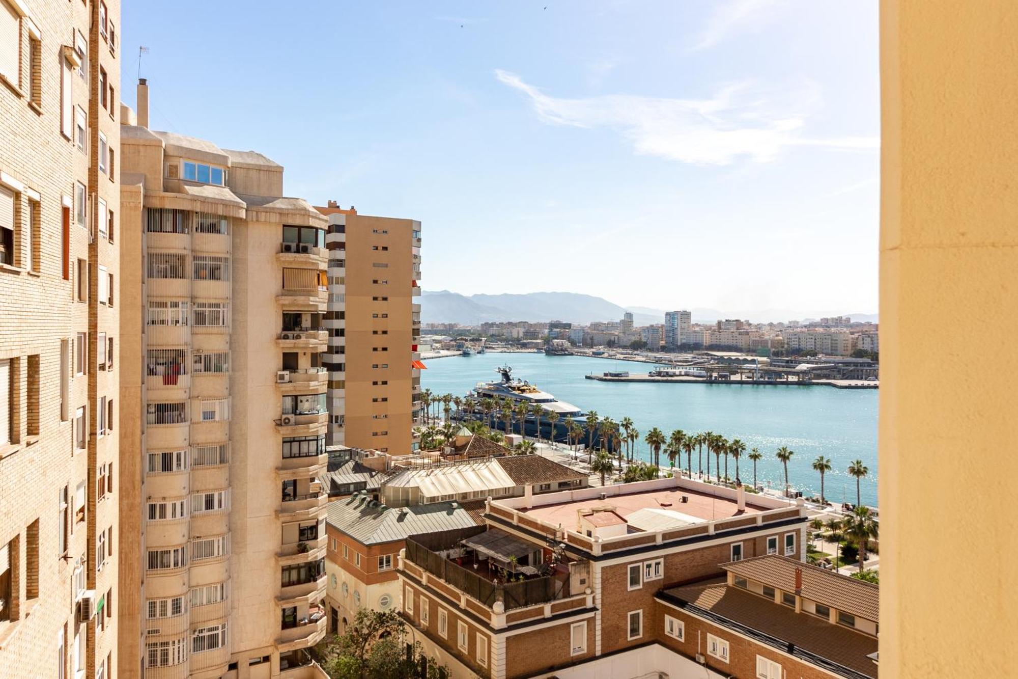 Center Flat Exclusive Malagueta
