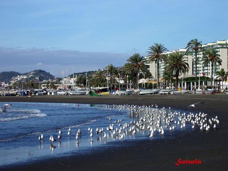 Apartamento El Dorado Cerca Del Mar