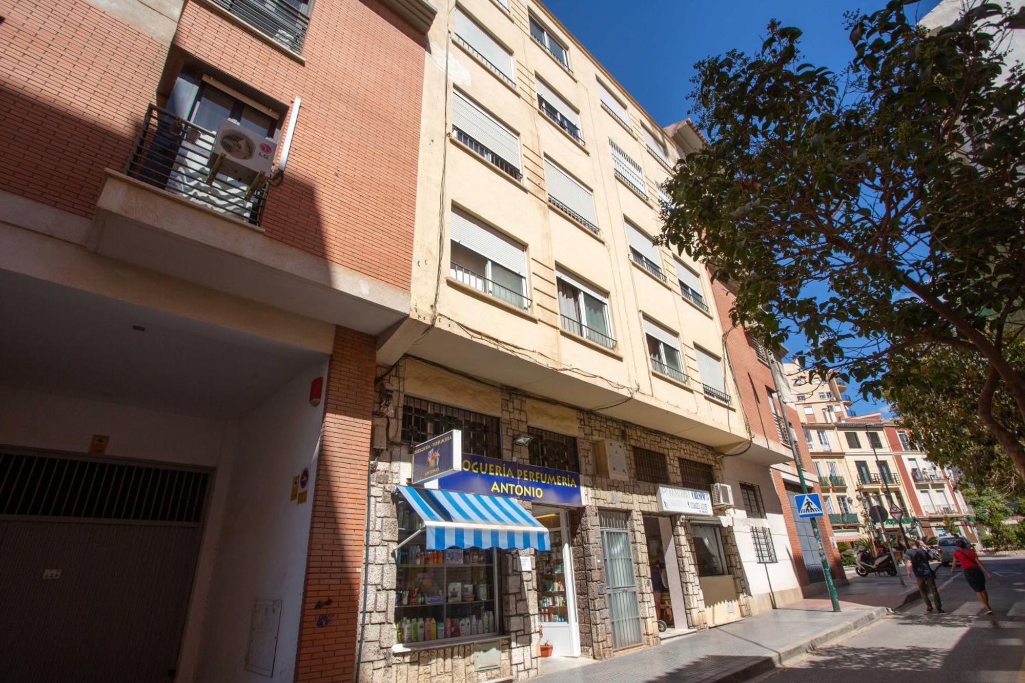 Centro Lagunillas Apartamento