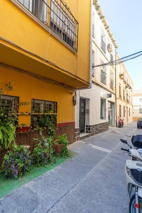 Apartamento 3 Bedroom Flat In Historic Centre