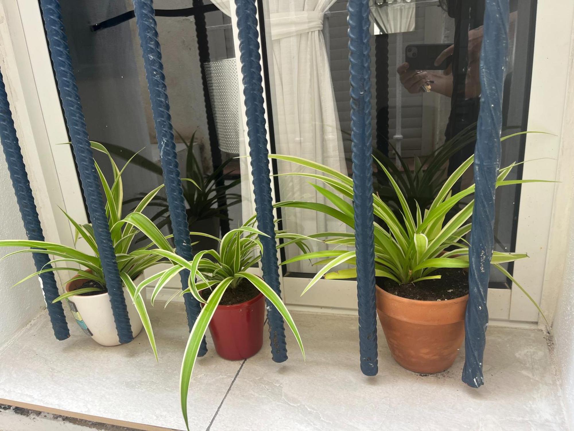 Casa Deniz Apartamento *