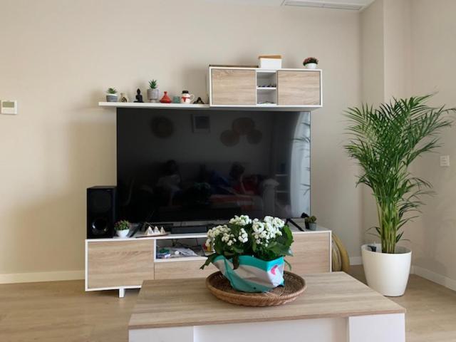 Bajo Con Jardin En Primera Linea De Playa Apartamento Málaga