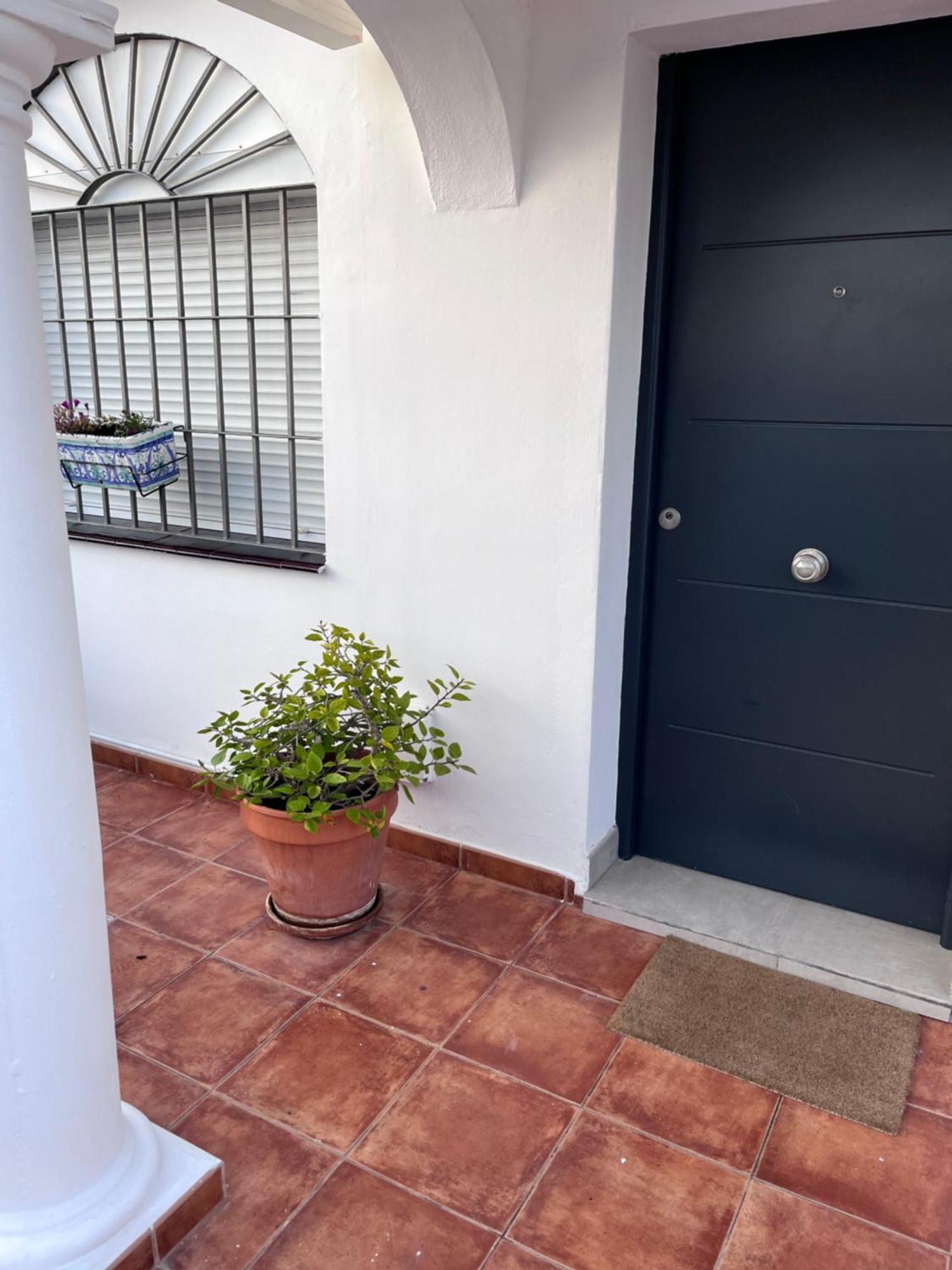 Tomillo Malaga