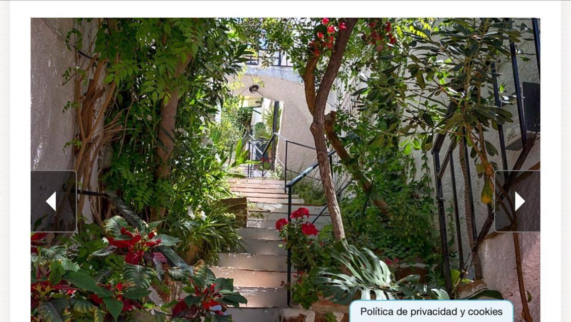 Balcón De Apartamento Málaga