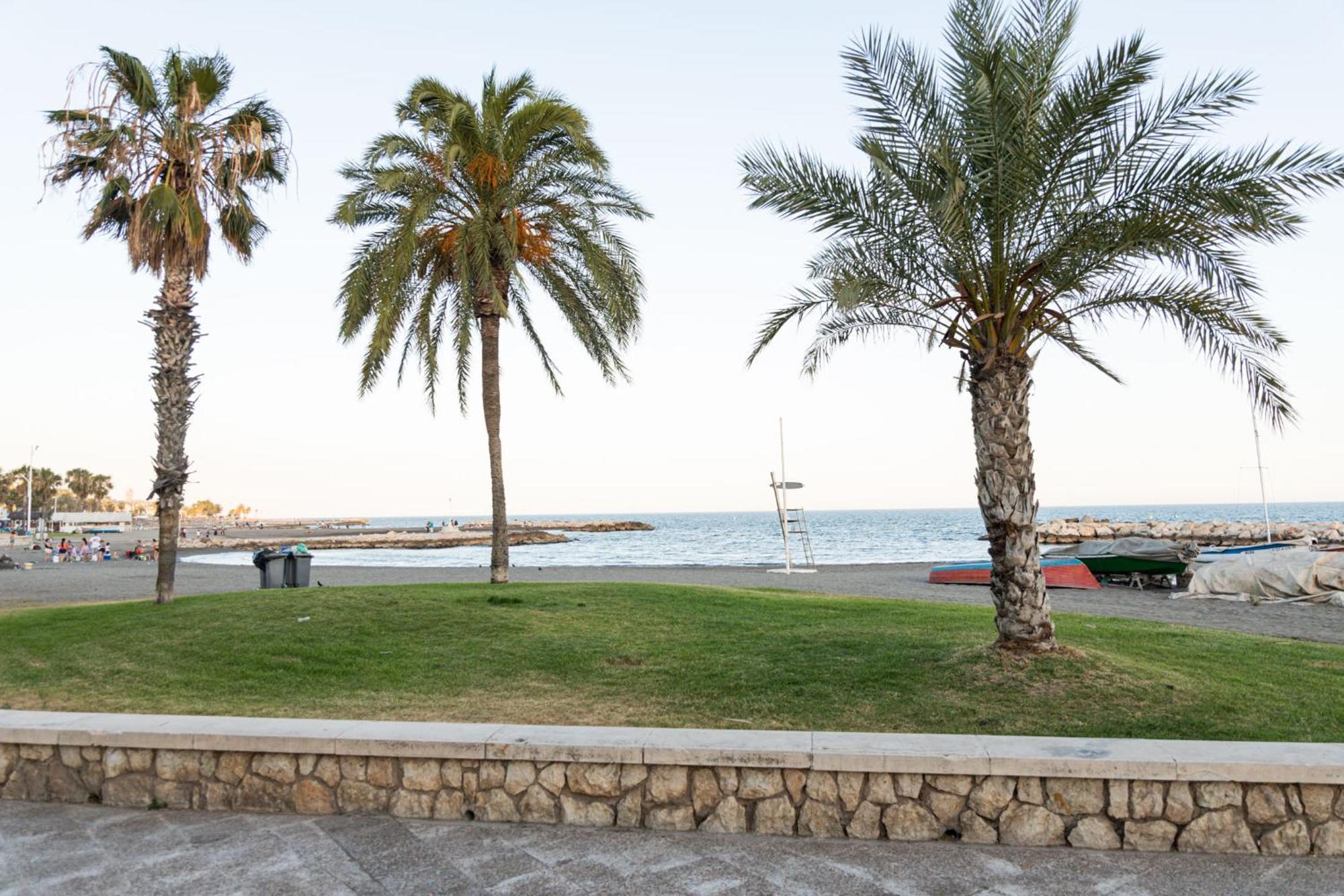 Premium With Terrace Apartamento