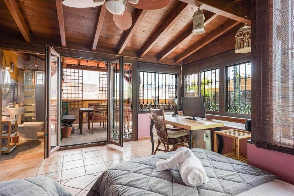 Pineapple Ollerias 27 Duplex With Great Terrace And Parking Apartment