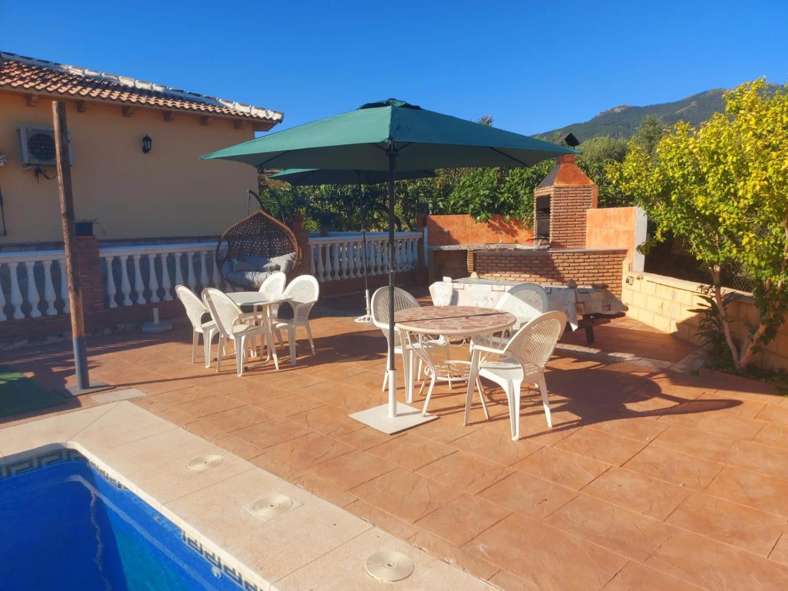 Olivos * Malaga