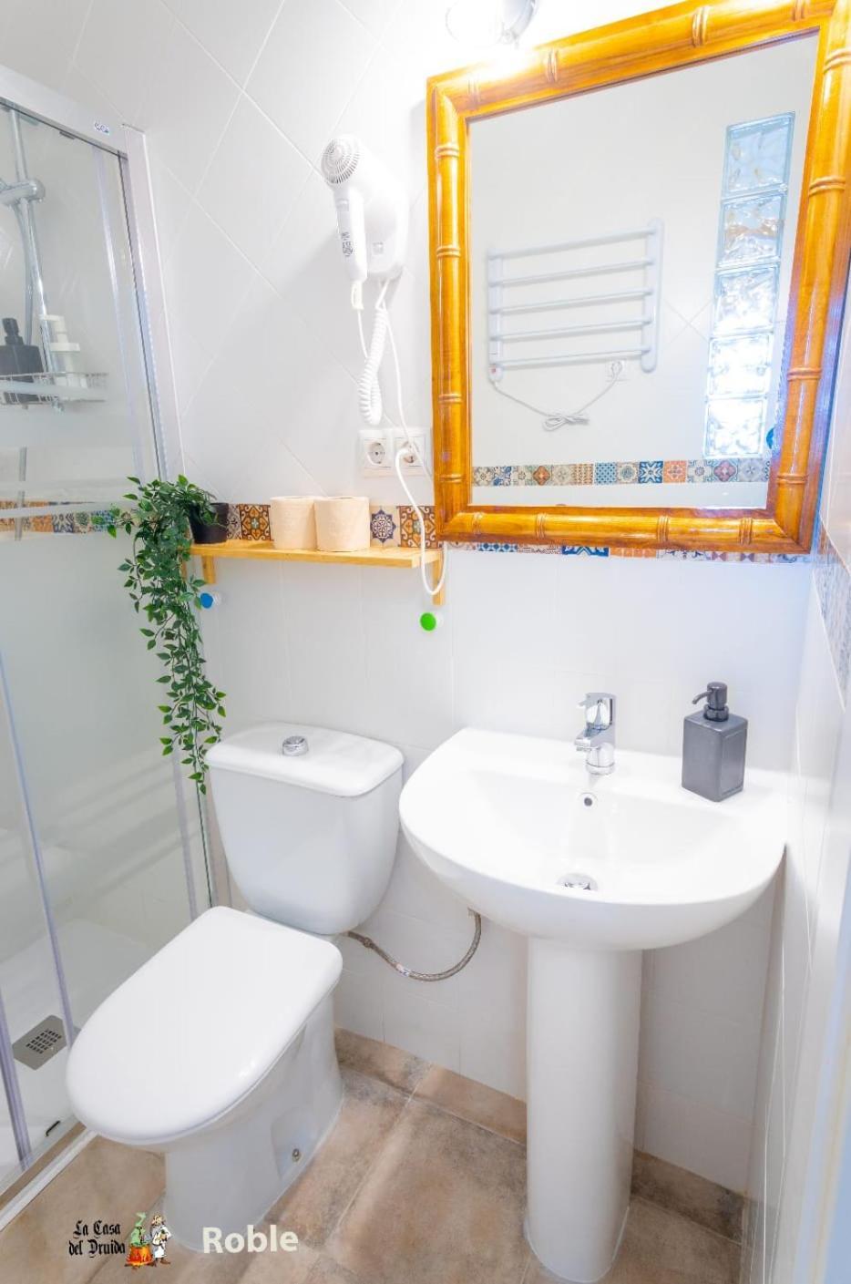 La Casa Del Druida Ii Apartamento Málaga