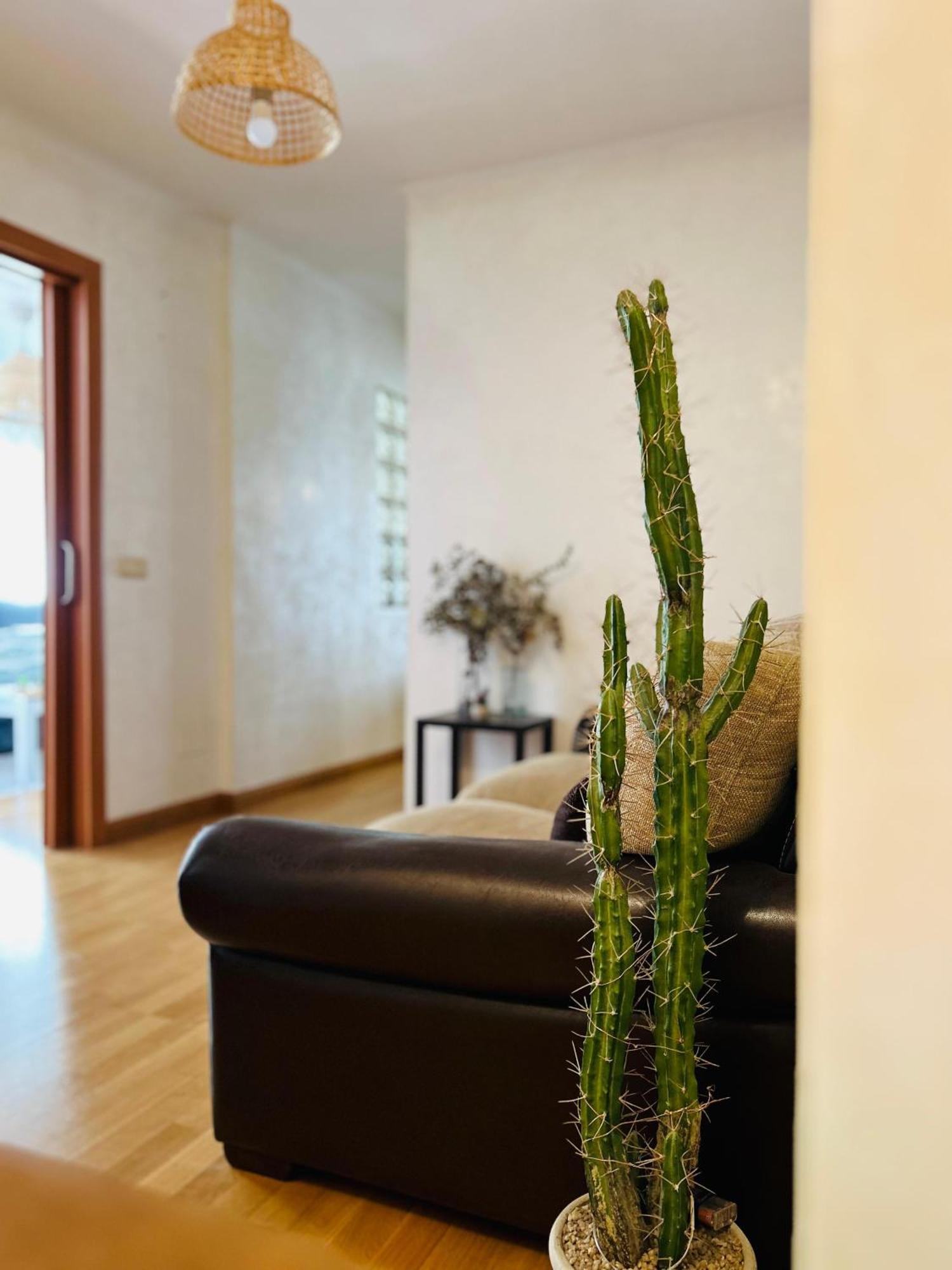 Apartamento Casa Guillermo *