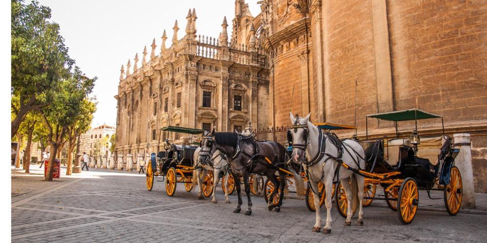 Nino De Guevara's Andalusian Charm: The Essence Of City Center * Málaga