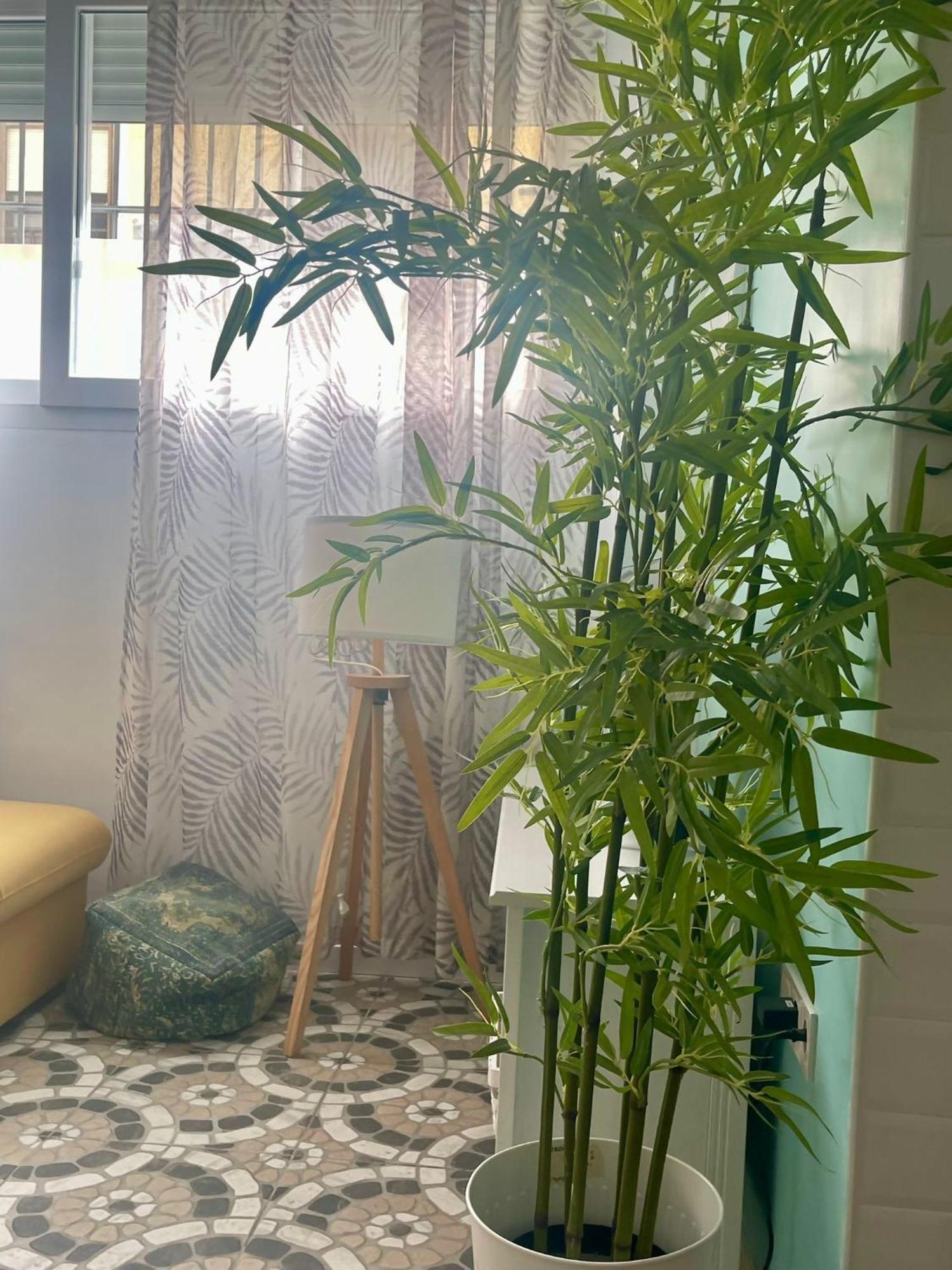 Apartment Bazan Wabi *