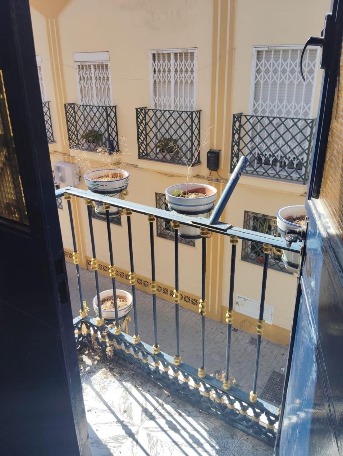 El Sardinal * Málaga
