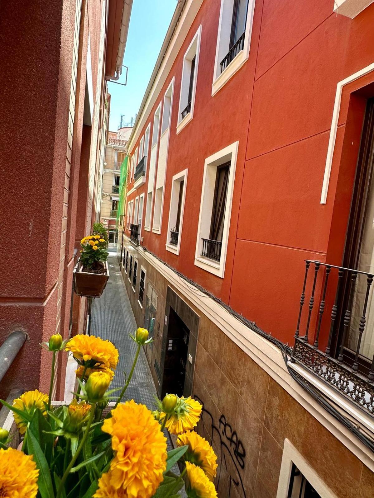 Apartamento Corazon Centro Historico *
