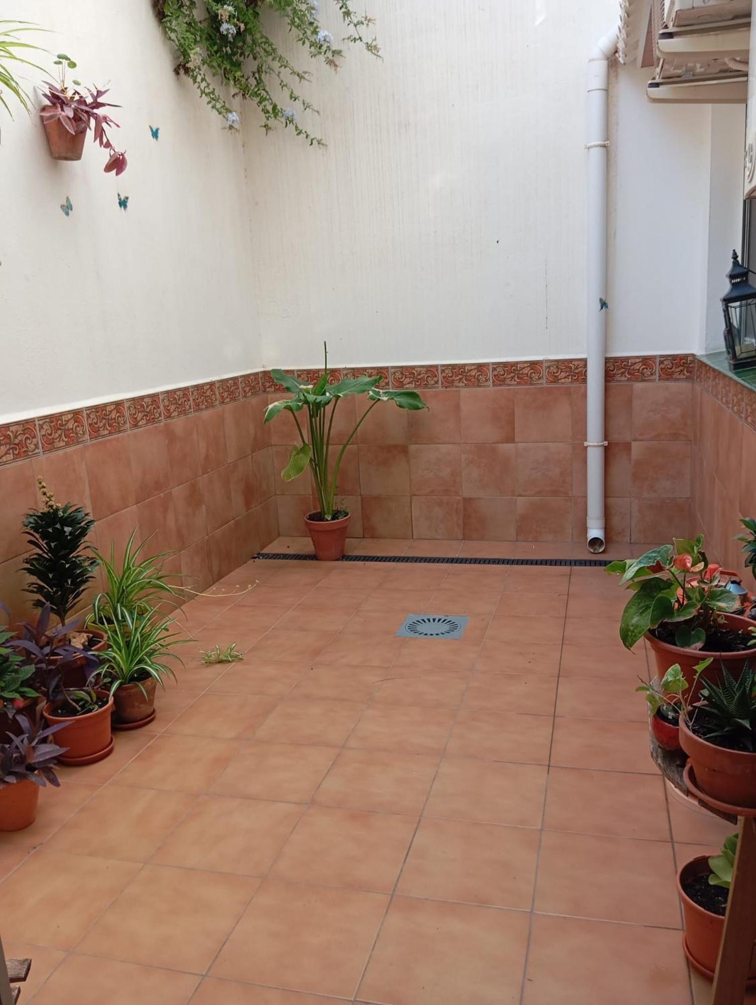 Amapola Apartamento Málaga